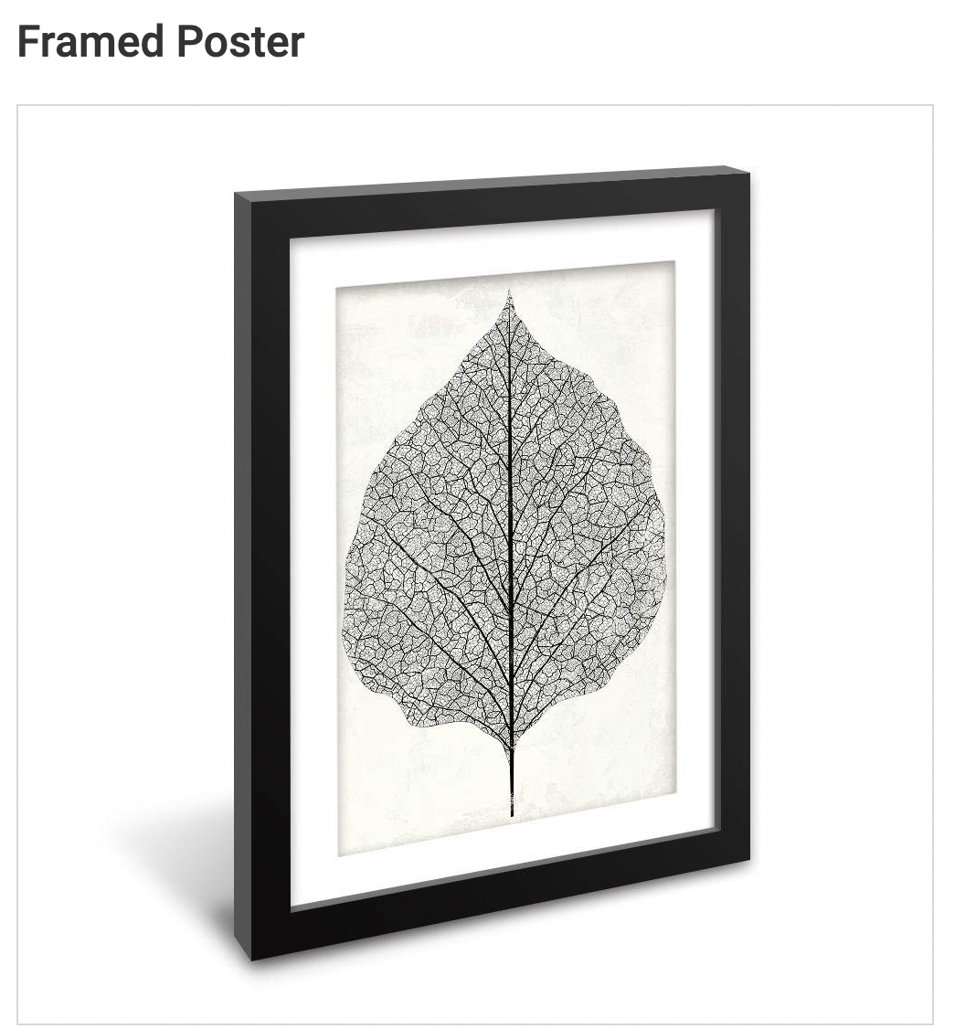 Framed Poster