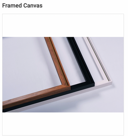 Framed Canvas