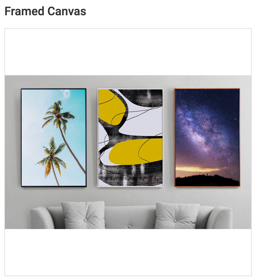 Framed Canvas