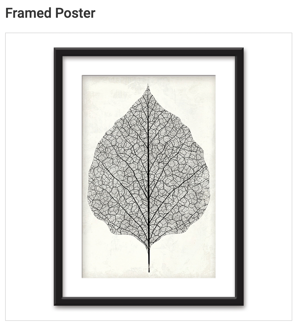 Framed Poster